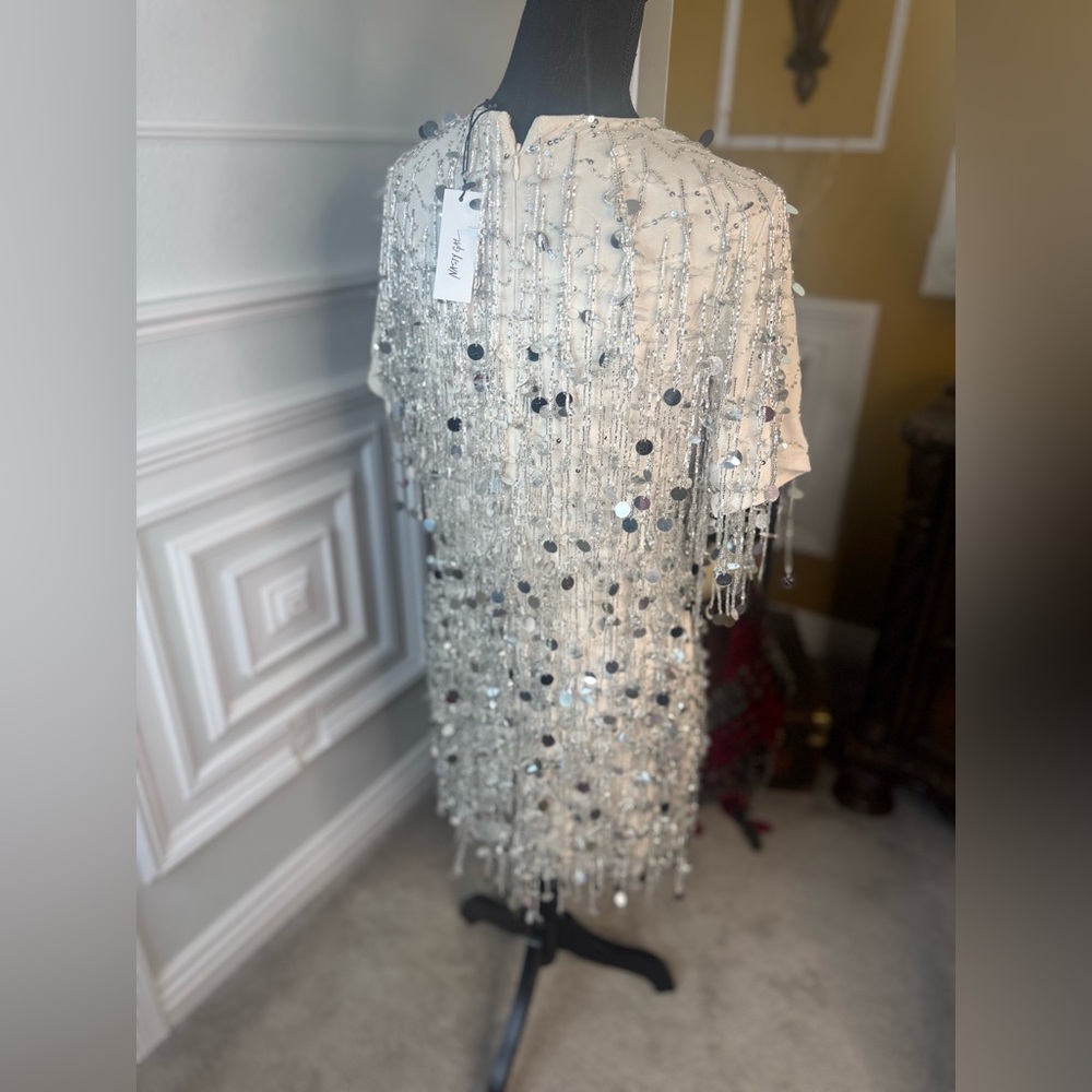 Nasty Gal Dress
